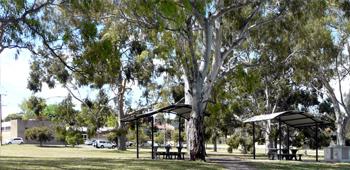 $55,000 toward lighting at Balmoral Reserve